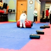 2008-08-07 (011).jpg